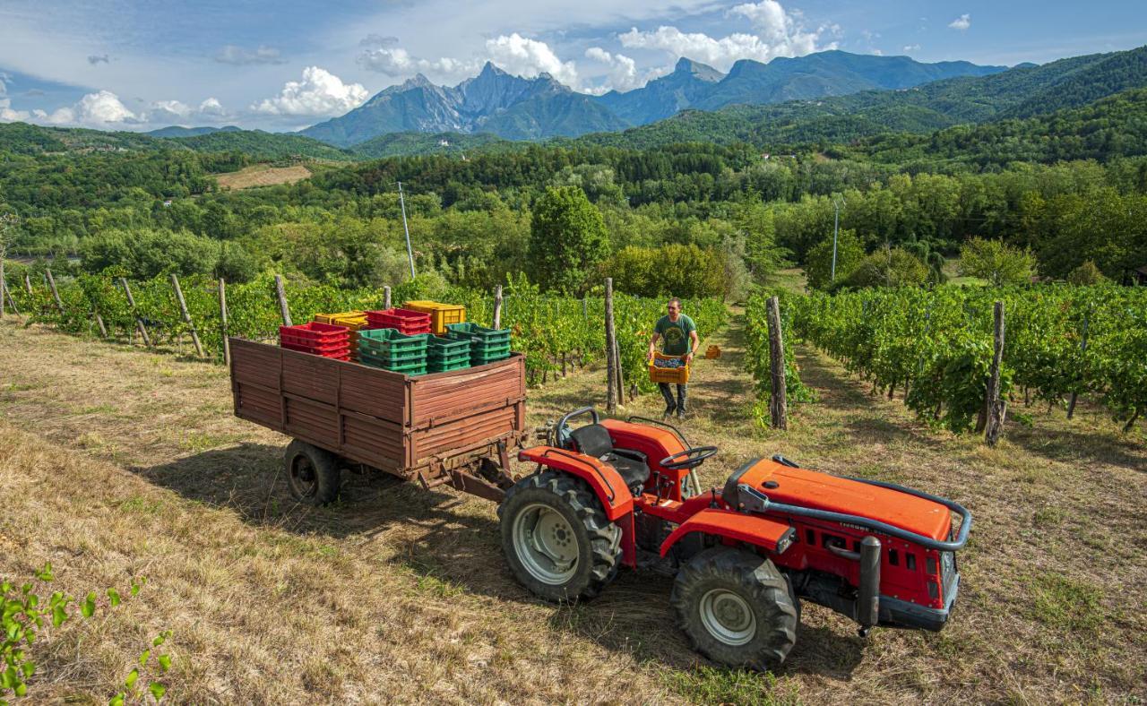 Agriturismo Il Bardellino Fivizzano Exteriér fotografie