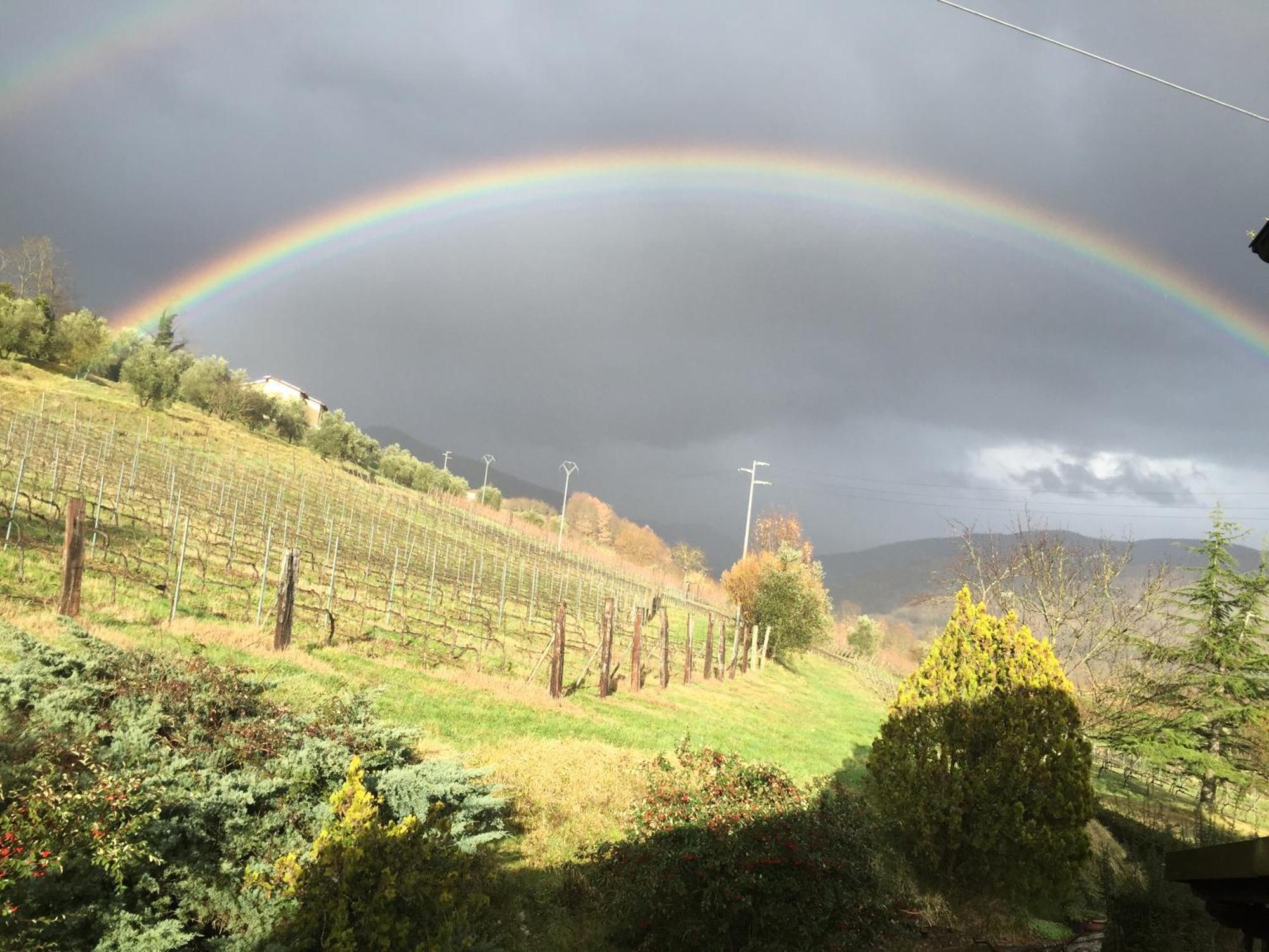 Agriturismo Il Bardellino Fivizzano Exteriér fotografie