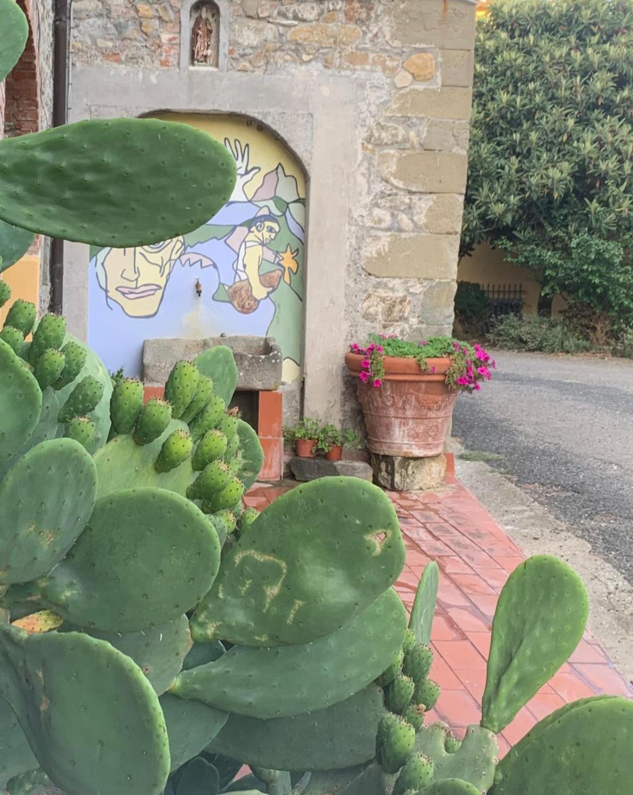 Agriturismo Il Bardellino Fivizzano Exteriér fotografie