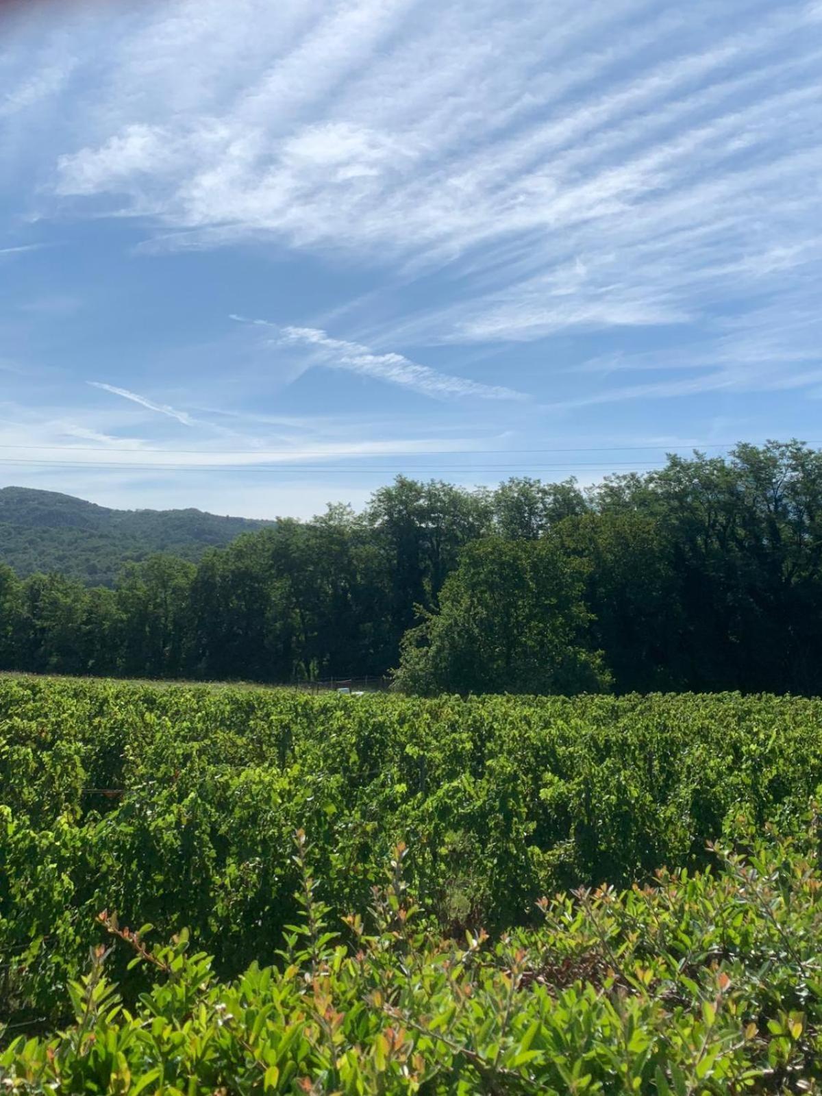 Agriturismo Il Bardellino Fivizzano Exteriér fotografie